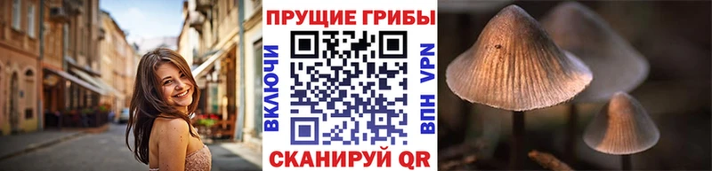 маркетплейс формула  Карабаново  Псилоцибиновые грибы MAGIC MUSHROOMS 